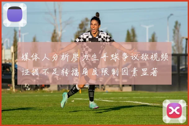 媒体人分析廖力生手球争议称视频证据不足转播角度限制因素显著